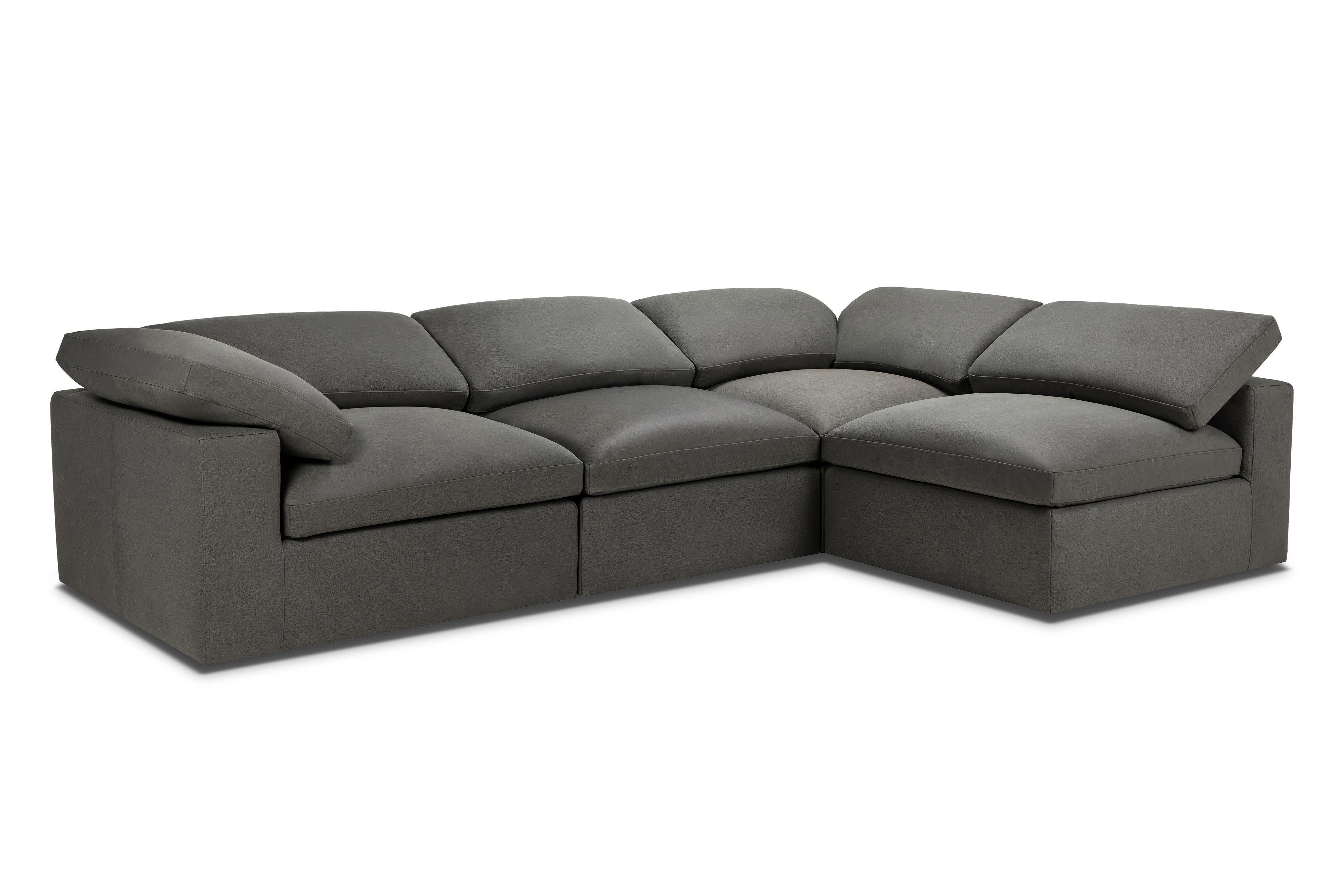 Goodman Right Sectional