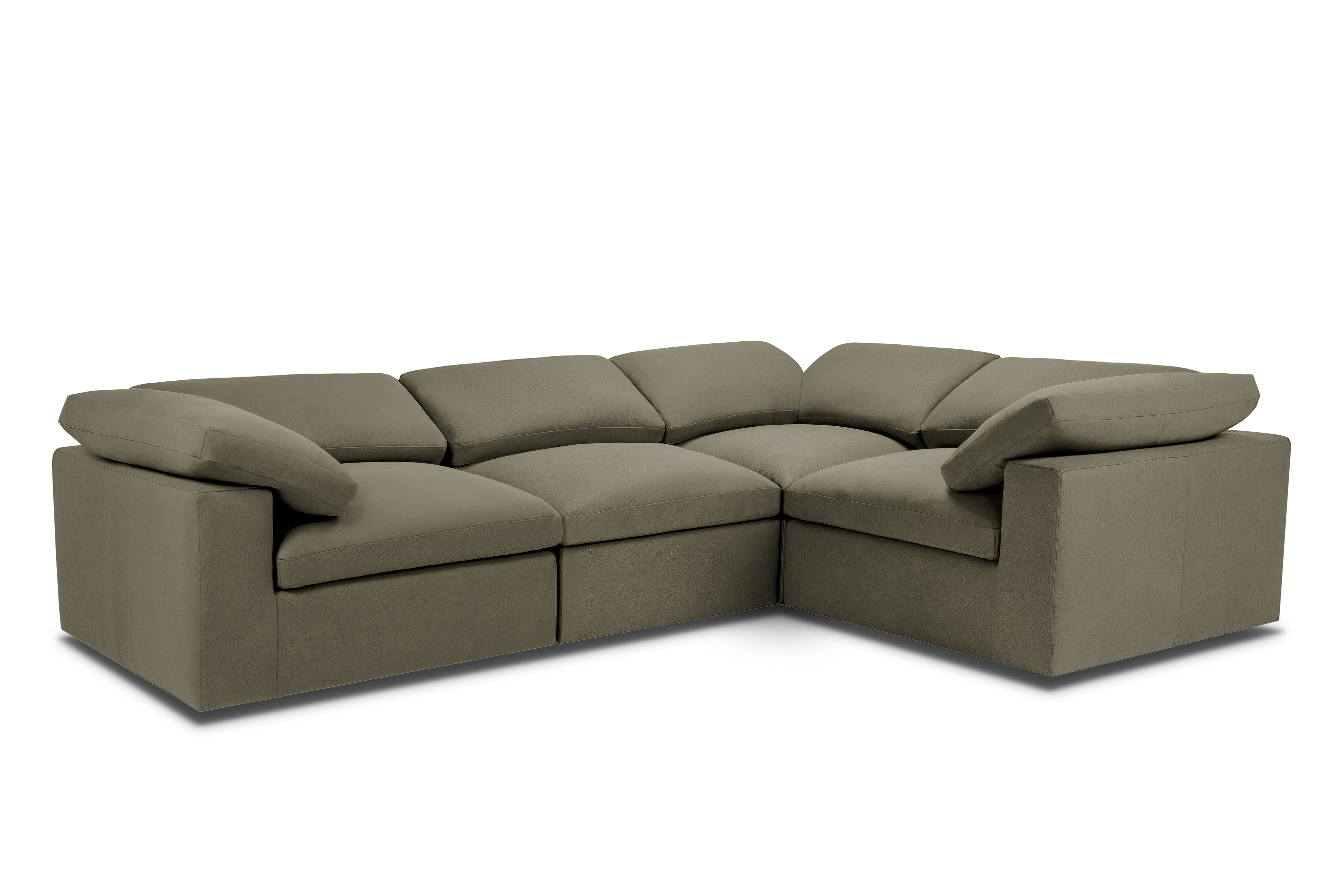 Goodman Right Sectional