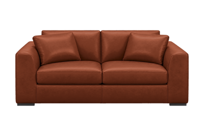 Caro Large Sofa in Momo Grower