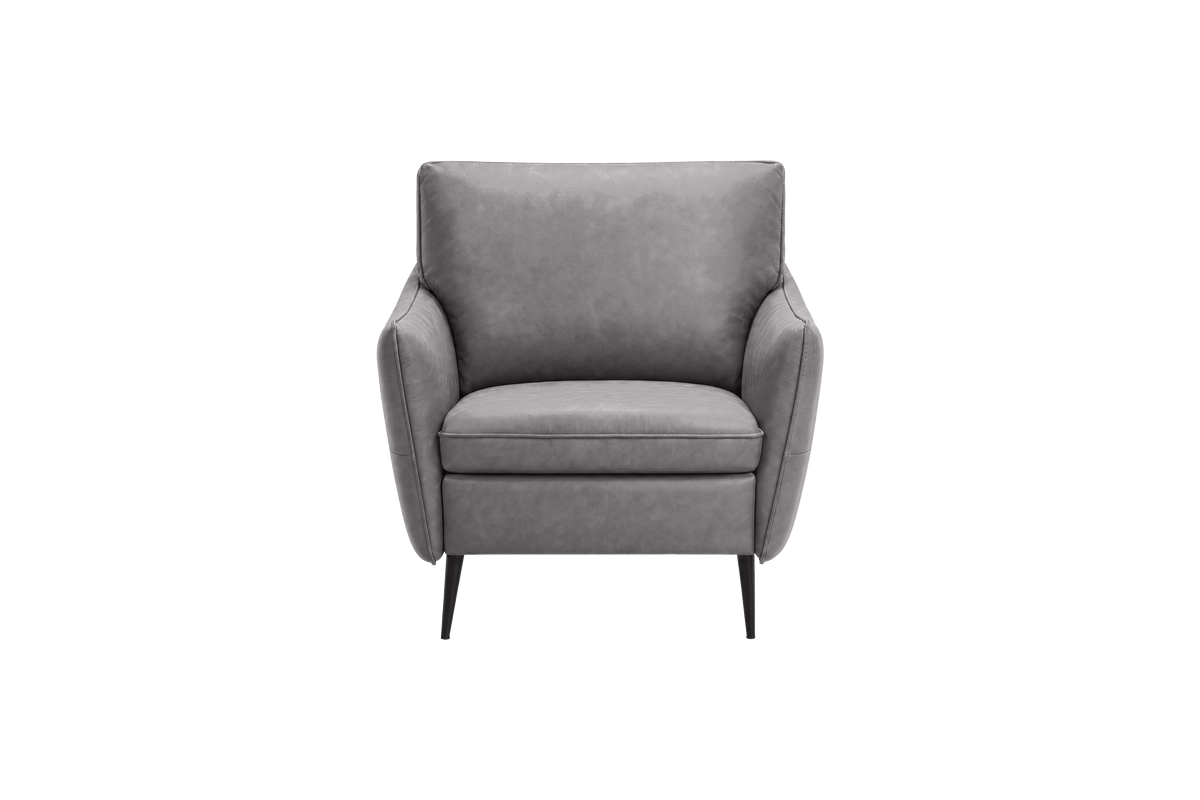 Edgar Accent Chair in Dante Meteor