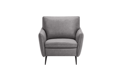 Edgar Accent Chair in Dante Meteor