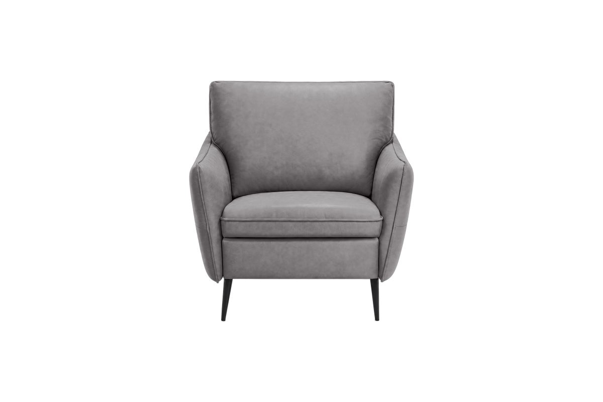 Edgar Accent Chair in Marfa Meteor