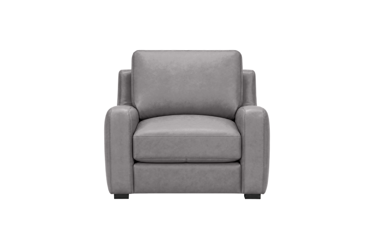 Theo Armchair in Dante Meteor