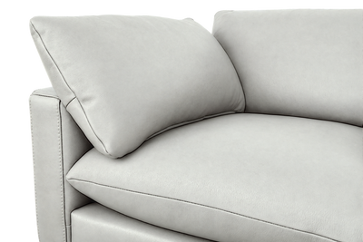Oliver Sectional in Felix Milky