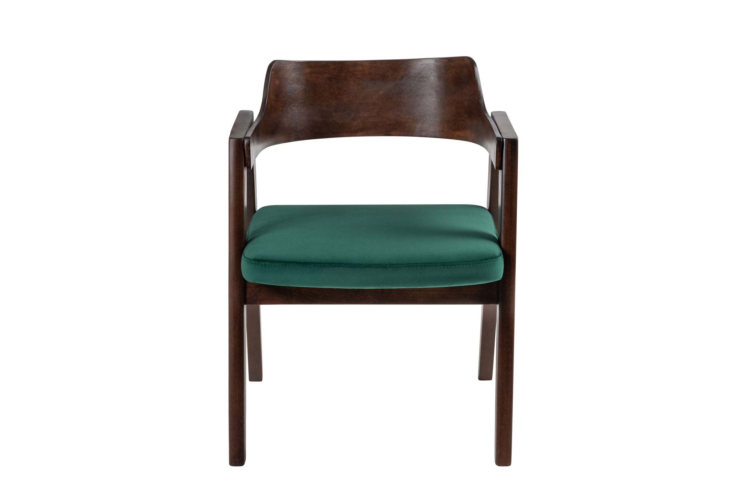 Francis Dining Chair in Polished Beech & Velvet