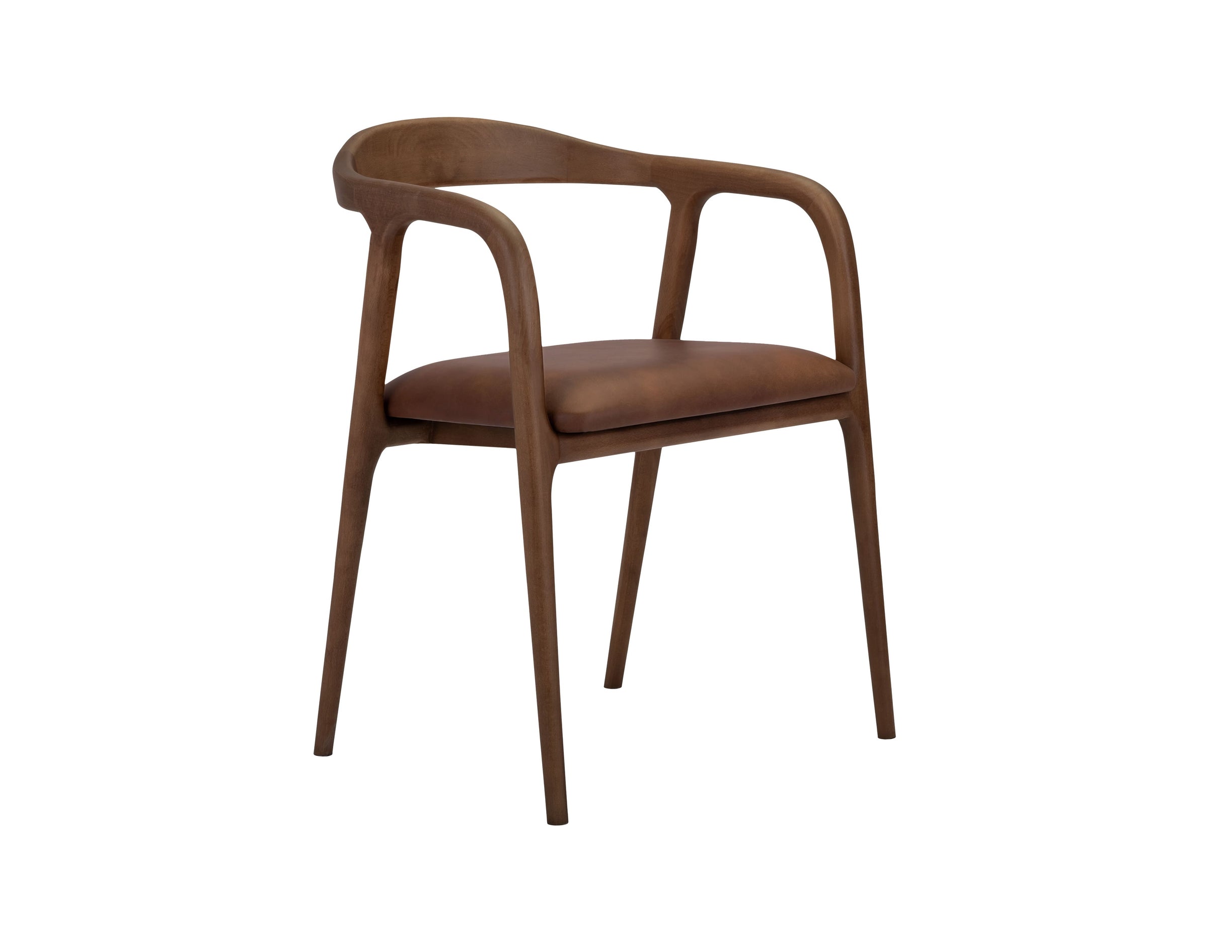 Lades Dining Chair in Matt Beech & Leather