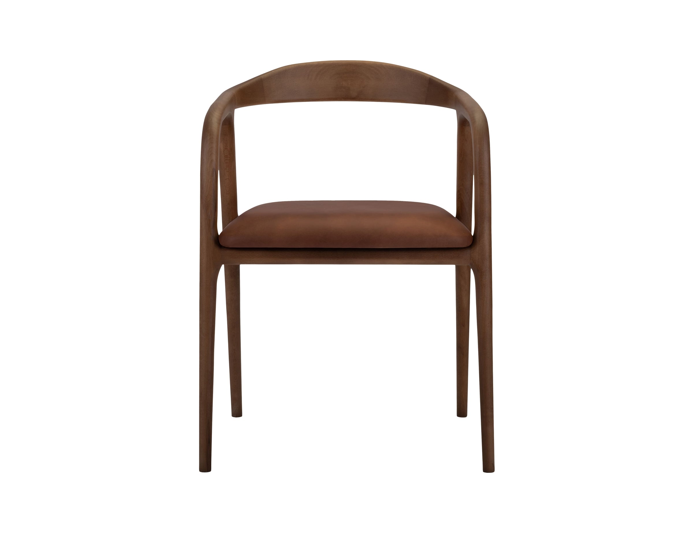 Lades Dining Chair in Matt Beech & Leather