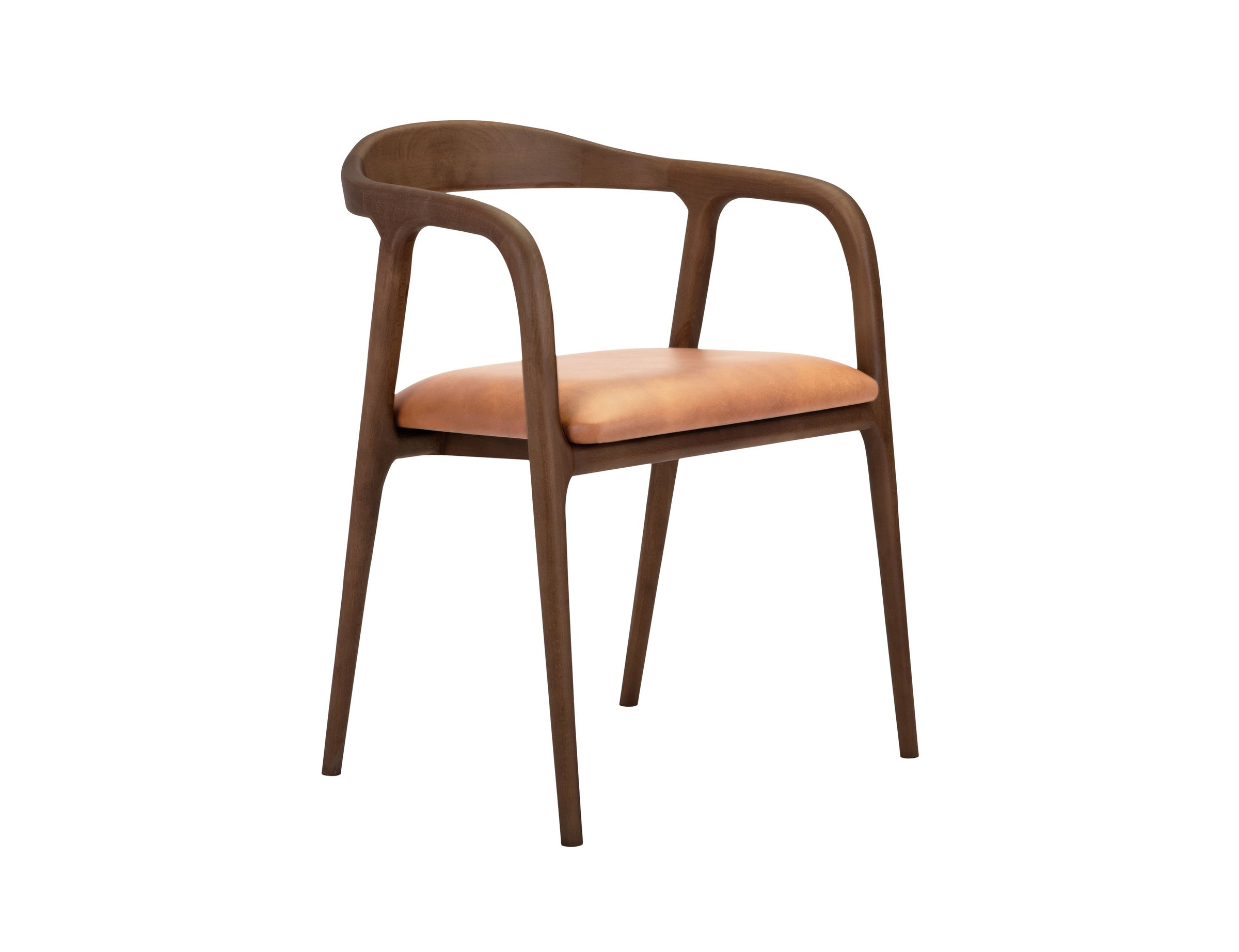 Lades Dining Chair in Matt Beech & Leather