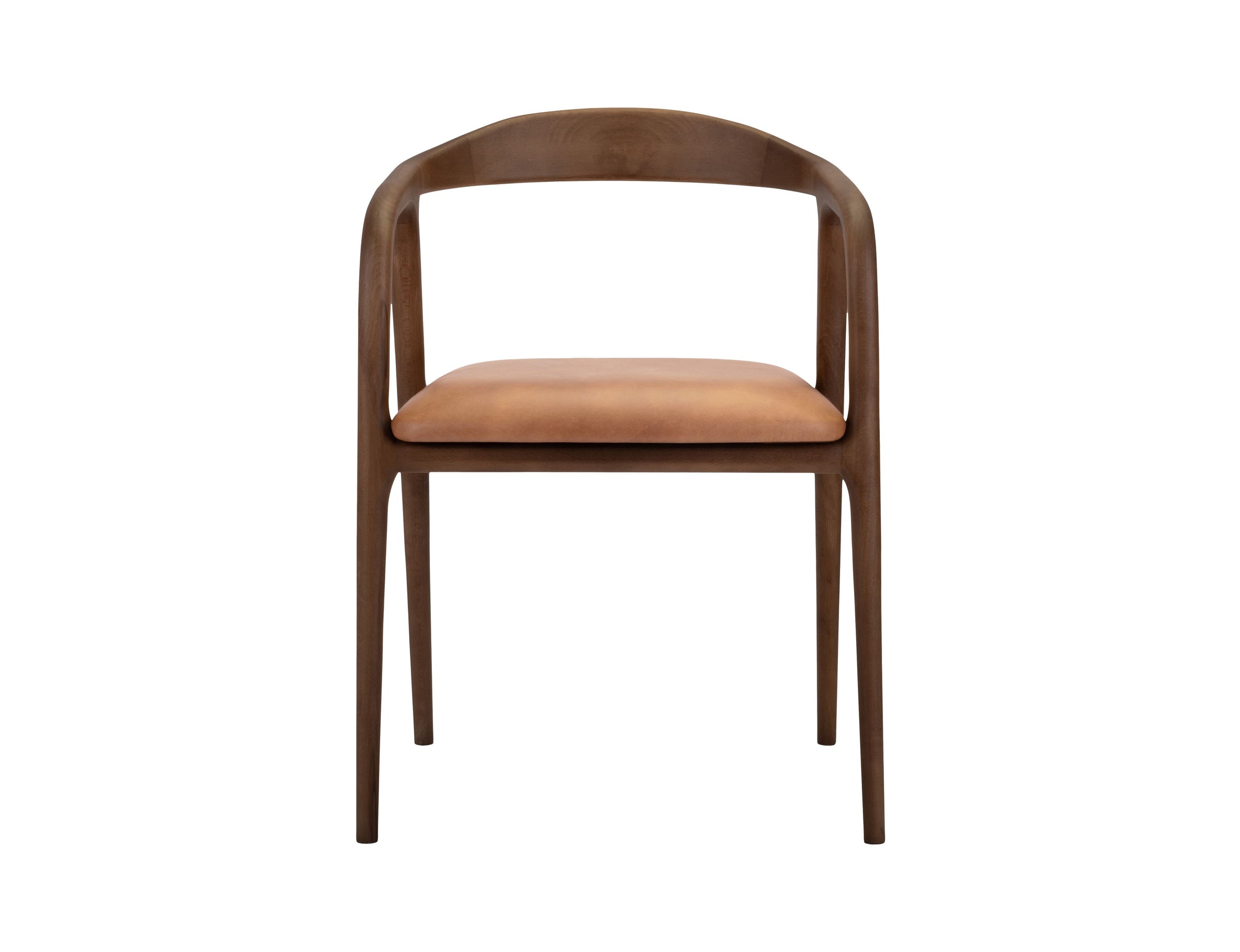 Lades Dining Chair in Matt Beech & Leather