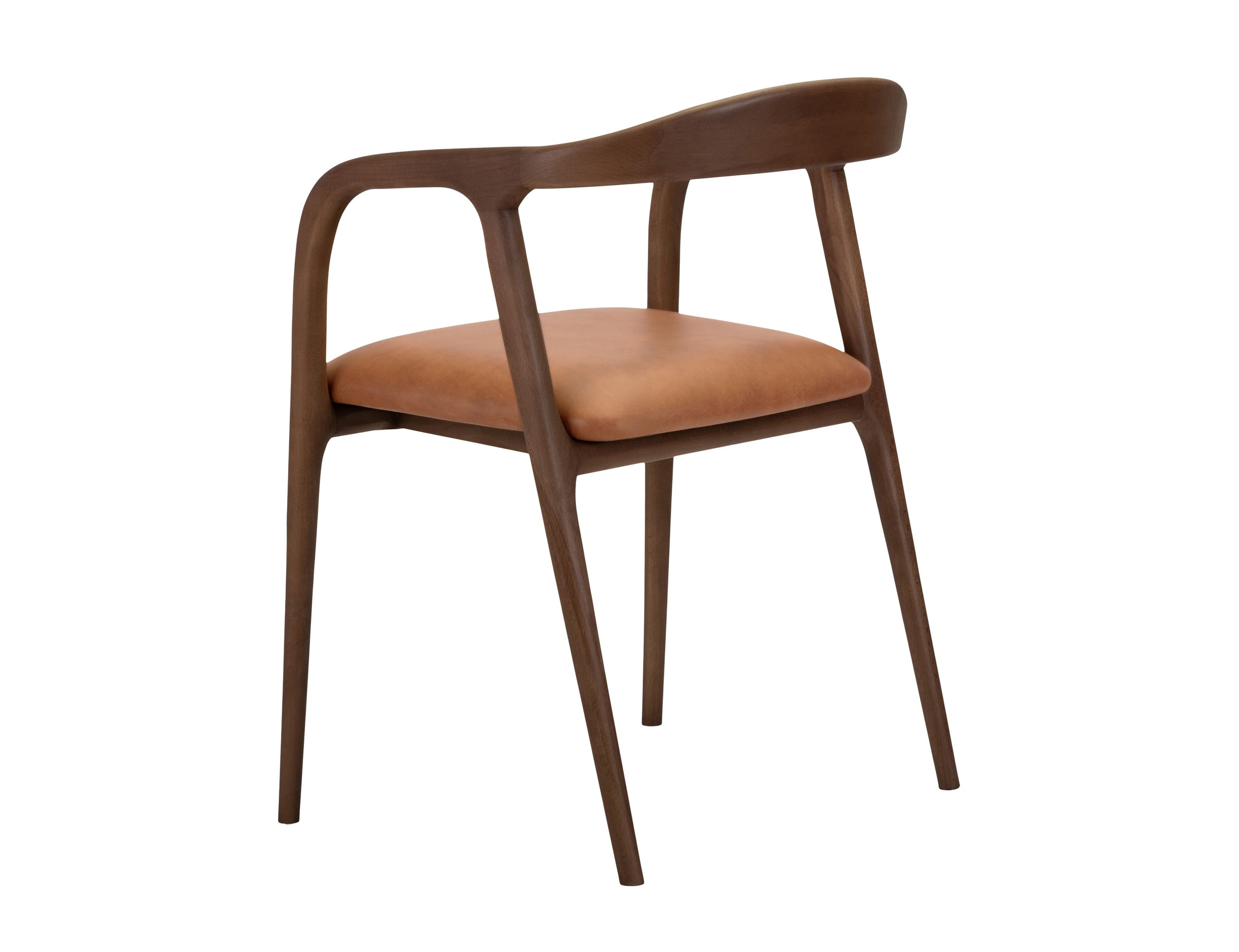 Lades Dining Chair in Matt Beech & Leather