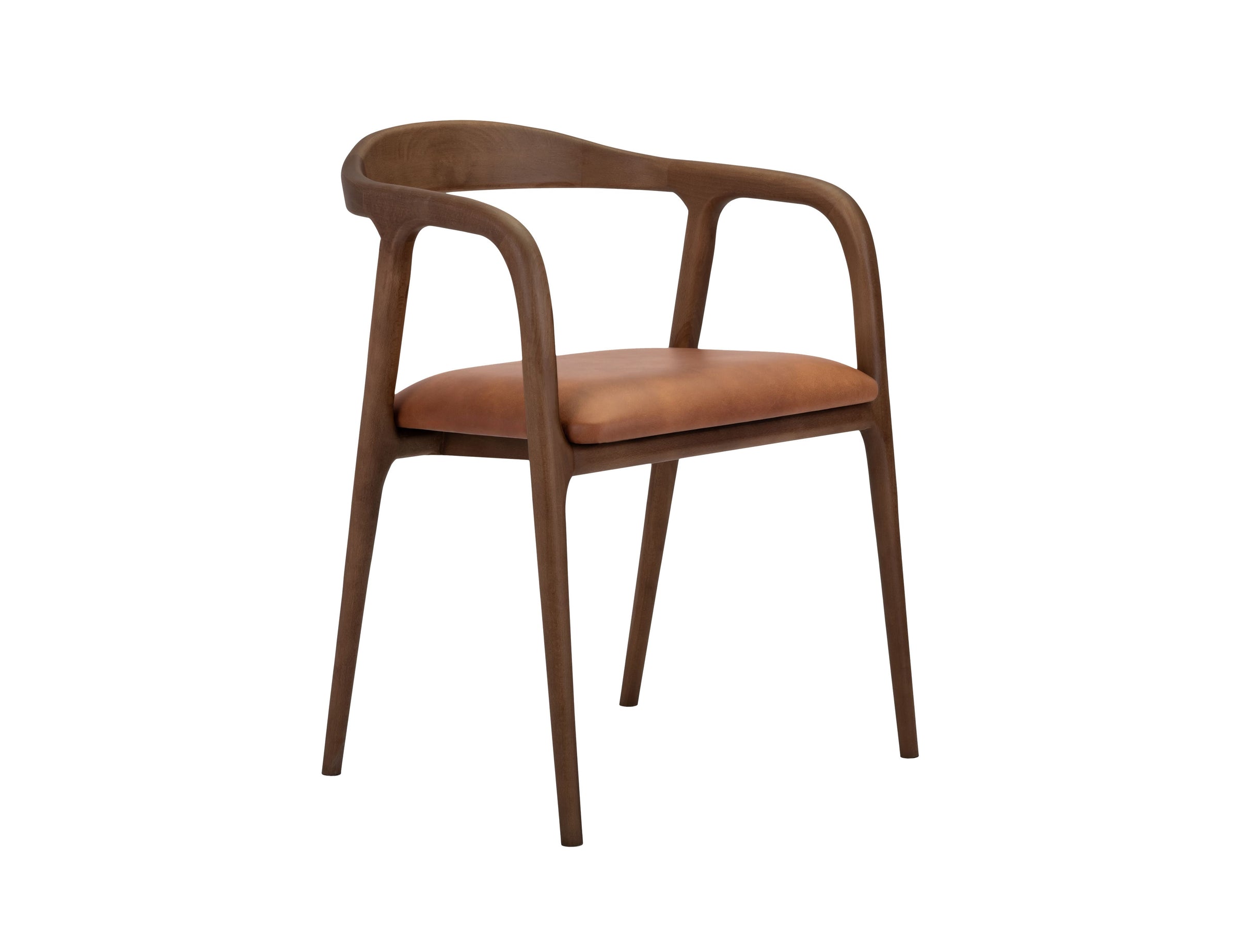 Lades Dining Chair in Matt Beech & Leather