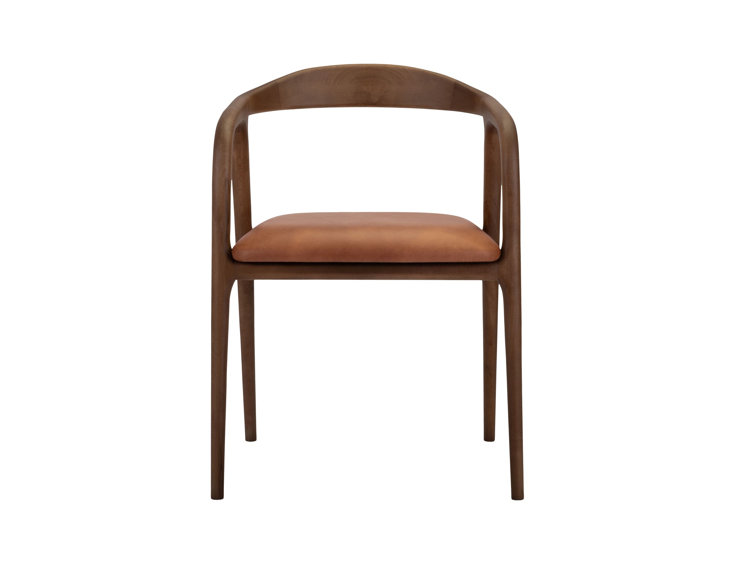 Lades Dining Chair in Matt Beech & Leather