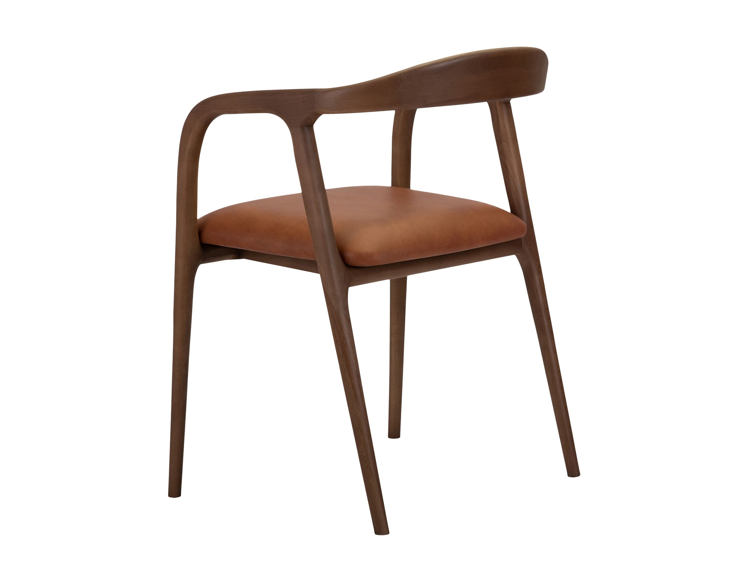 Lades Dining Chair in Matt Beech & Leather