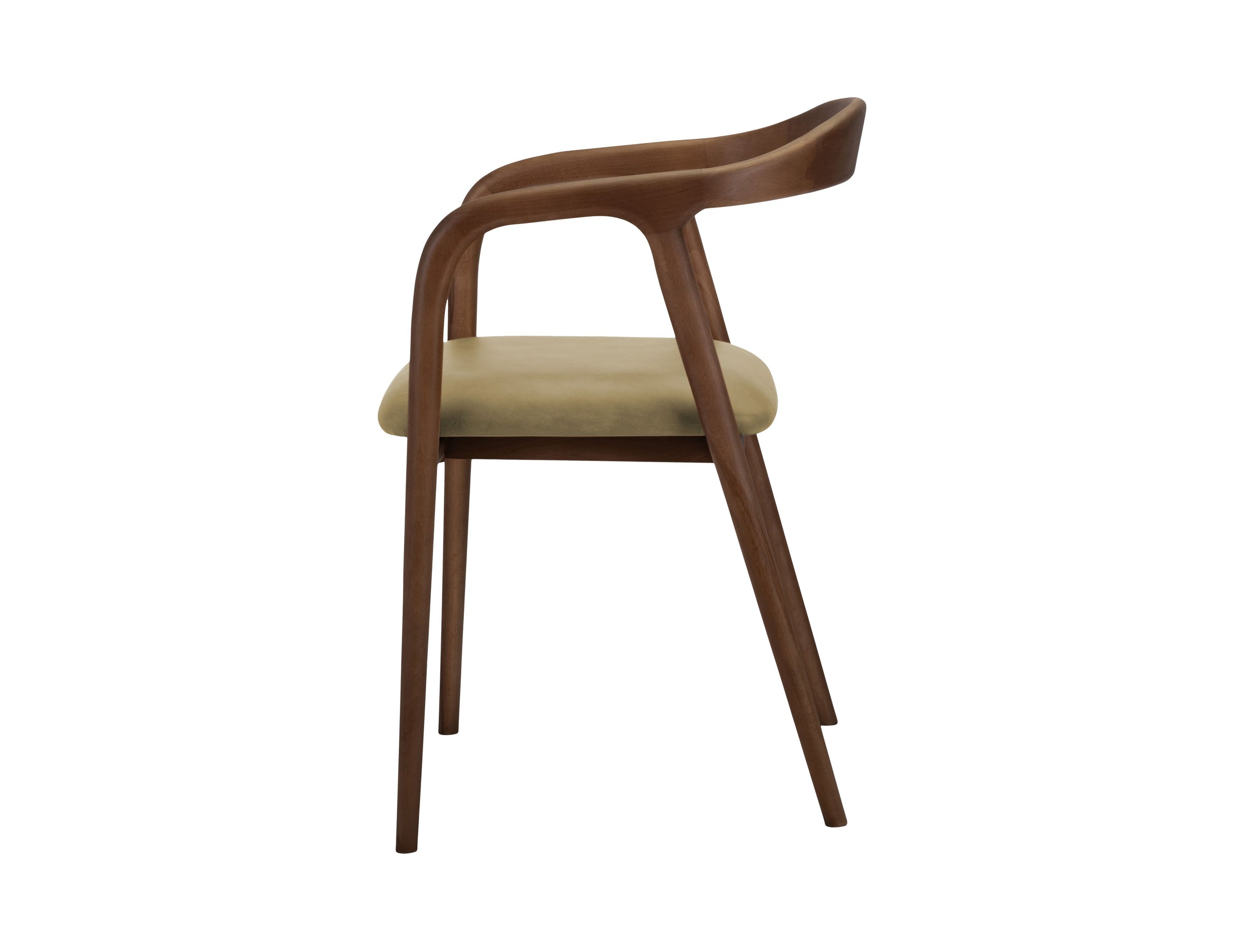 Lades Dining Chair in Matt Beech & Leather