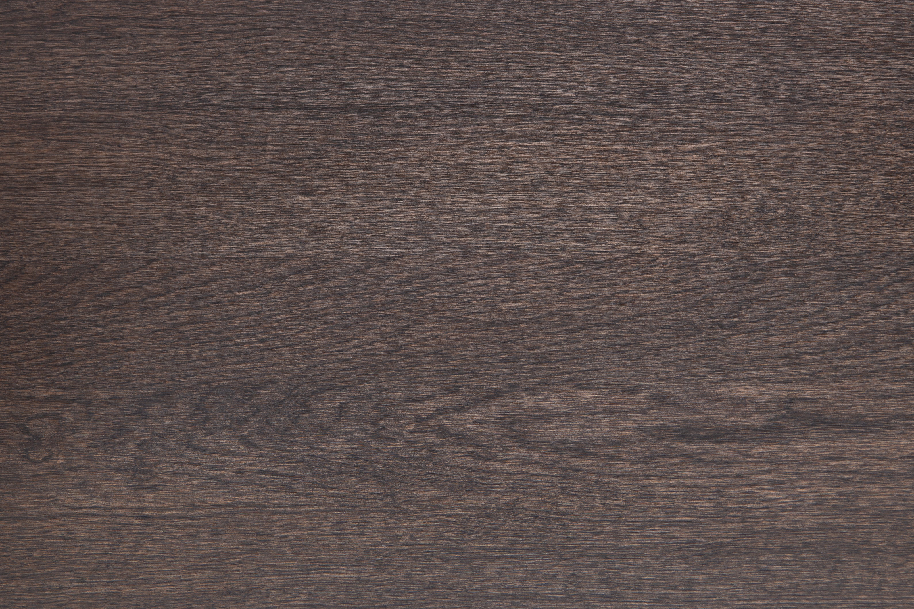 Elephant Grey Oak