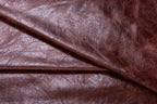 Celine Figaro