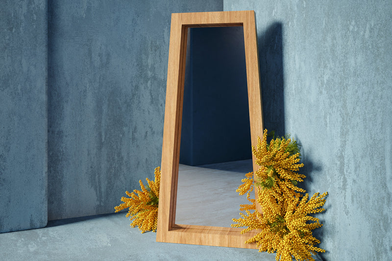 MIRRORS