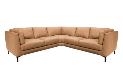 [BG REMOVED]