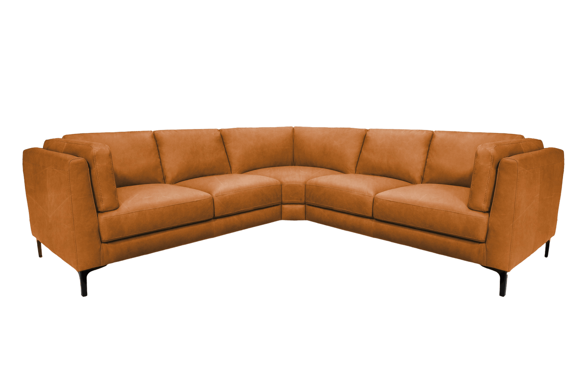 [BG REMOVED]
