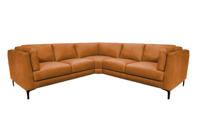 [BG REMOVED]