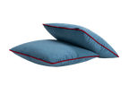Set of 2 Softy Pillows
